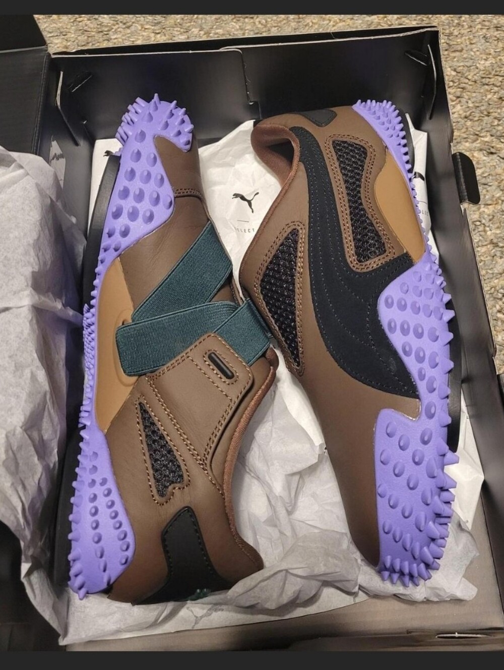 RARE PUMA MOSTRO UR COMMUNICATION